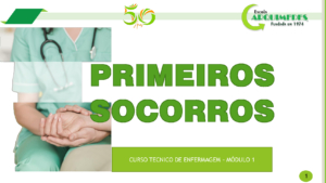 Aula 1 PSO 2024pptx