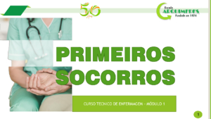 Aula 2 PSO 2024
