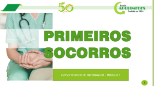 Aula 3 PSO 2024