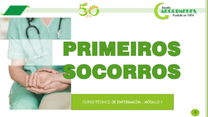 Aula 4 PSO 2024